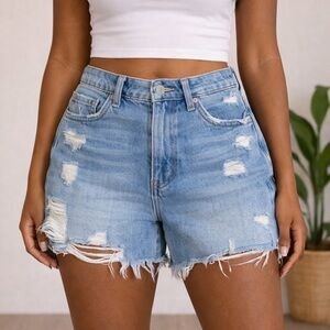 Vervet Distressed Blue Denim Shorts